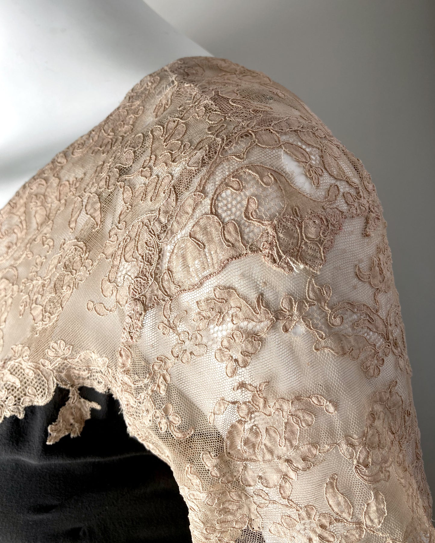 1920s Illusion Lace Dress–S