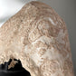 1920s Illusion Lace Dress–S